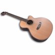Dowina Danubius GACE LR Baggs SPE - gitara elektroakustyczna - zdjęcie 3