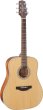 Takamine GD20-NS gitara akustyczna - zdjęcie 1