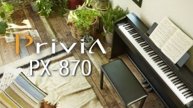 Casio Privia PX-870 Digital Piano