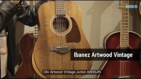 Ibanez Artwood Vintage AVD60 - współczesne spojrzenie na klasykę 