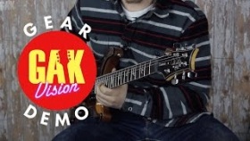 GAK DEMO : PRS Guitars SE Exotic Range