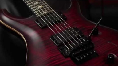 The PRS Dustie Waring Limited Edition "Floyd" Custom 24