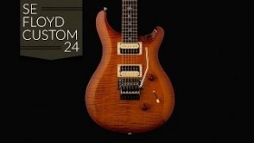 The PRS SE &quot;Floyd&quot; Custom 24